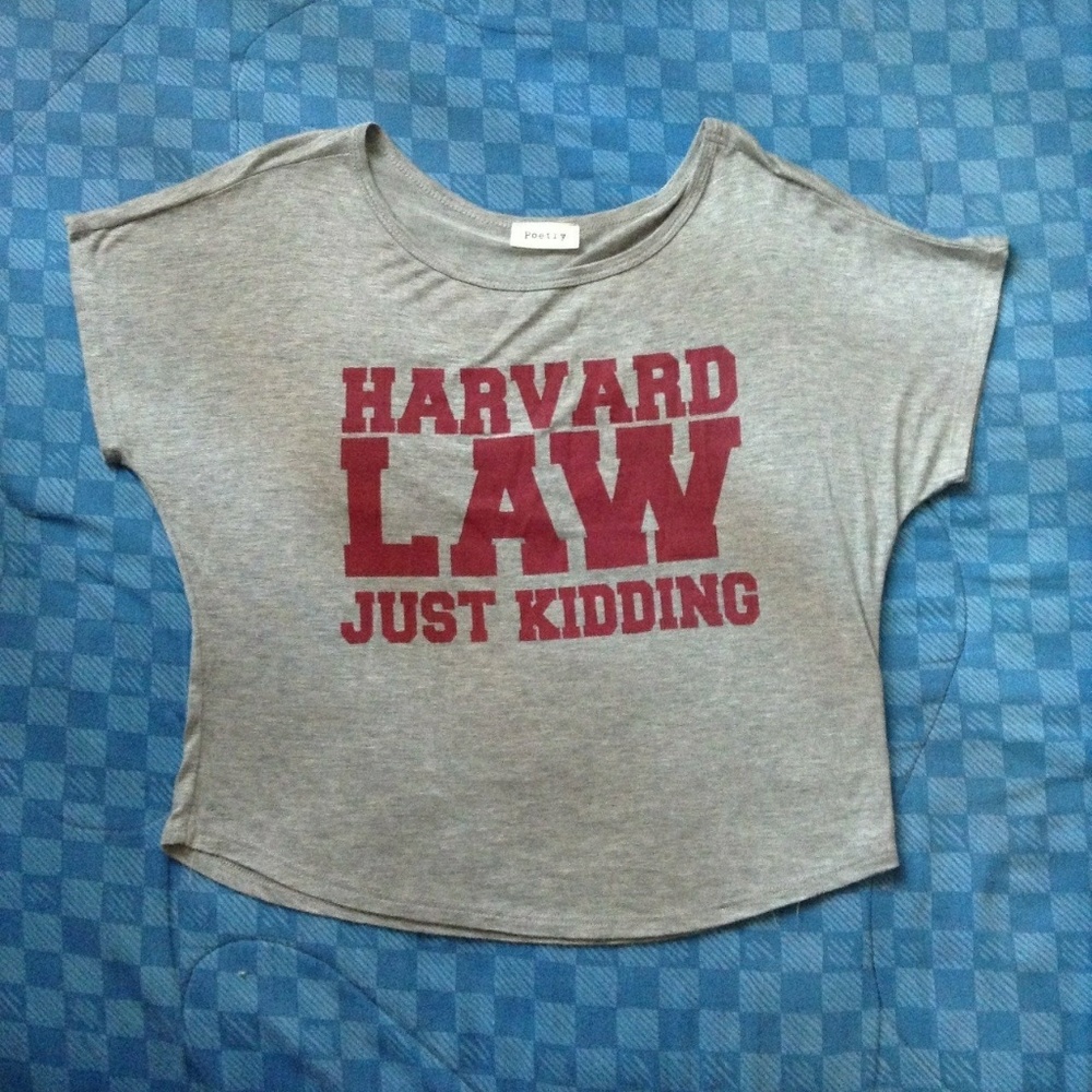 Harvard Gray Crop Top